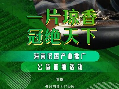 海南沉香产业推广公益直播活动将于11月21日举行