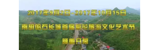 青龙南胡哈石长城首届菊花旅游文化艺术节开幕