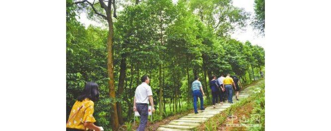 五桂山昨举办沉香小镇研讨会，市沉香检测中心计划今年内运营