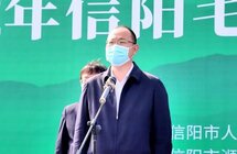 2022年信阳毛尖茶正式开采