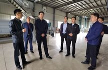 黄石市阳新县｜县委书记万鼎调研茶产业及高标准农田建设工作