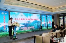 2022庐山云雾茶产业高质量发展研讨会召开