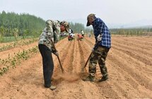 关注！茶管培训助力茶产业高质量发展