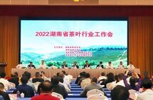 新起点、新规划、新征程，2022湖南省茶叶行业工作会议召开