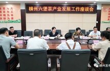 横州市召开六堡茶产业发展工作座谈会