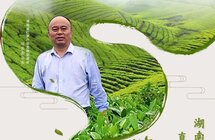 湖南省红茶产业发展促进会会长直播首秀，展“湖南红茶”品牌魅力