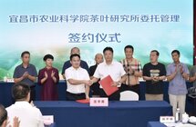 宜昌市茶产业协会召开二届三次会员大会