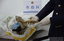 深圳文锦渡口岸截获国家二级濒危珍稀植物沉香